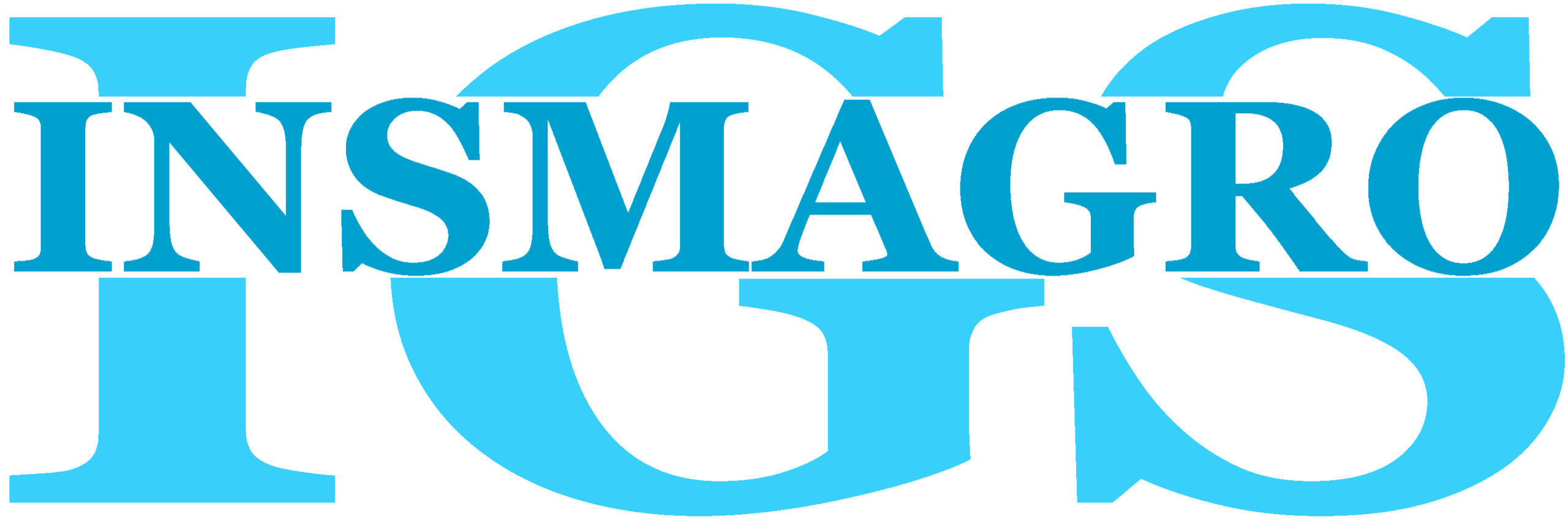 Insmagro Global Solutions